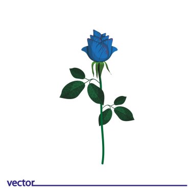 Simgesi mavi gül
