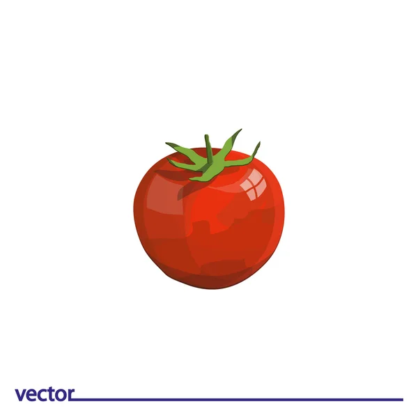 Icon of tomato on white background — Stock Vector