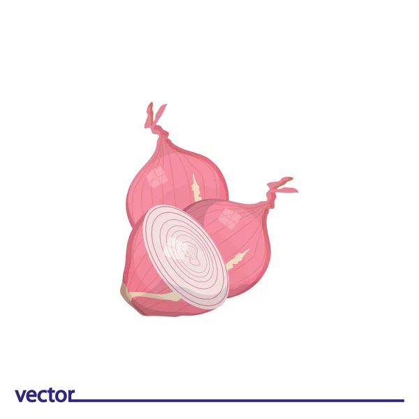 Icon of fresh onion — Stock Vector