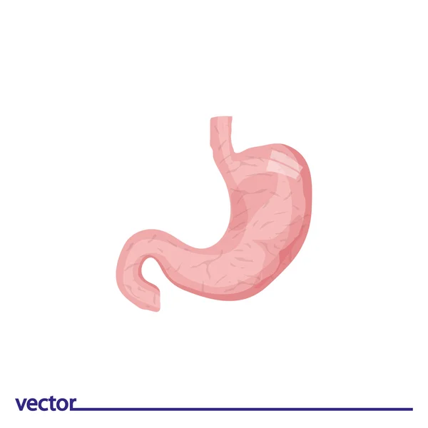 Icona piatta dello stomaco — Vettoriale Stock