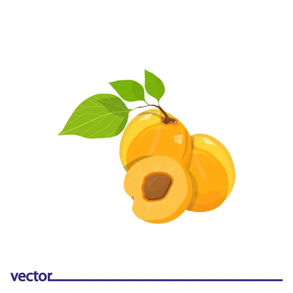 Икона абрикосов с листьями — стоковый вектор