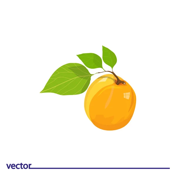 Icon of apricot with leaves — Stock Vector