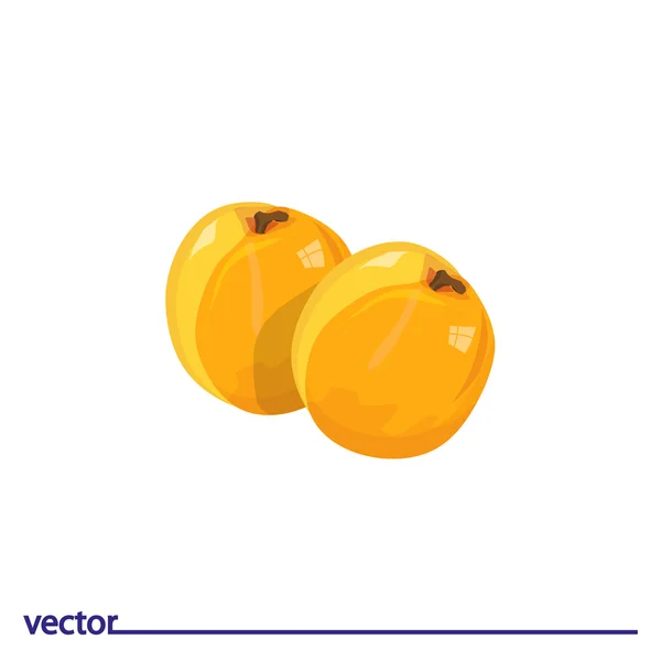Плоская икона абрикосов — стоковый вектор
