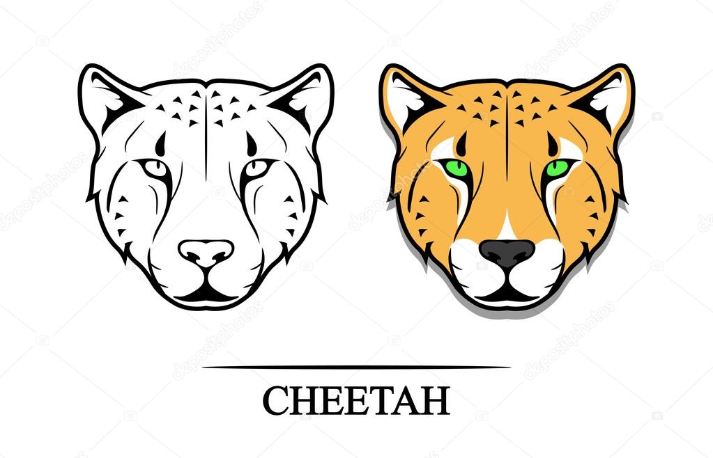 illustration of cheetah head