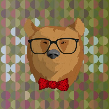 Hipster ayı içinde gözlük