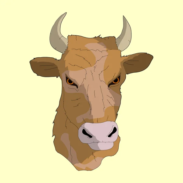 Portrait de taureau brun — Image vectorielle