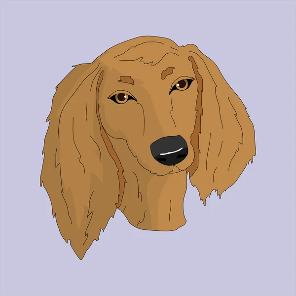 Söt hund porträtt — Stock vektor