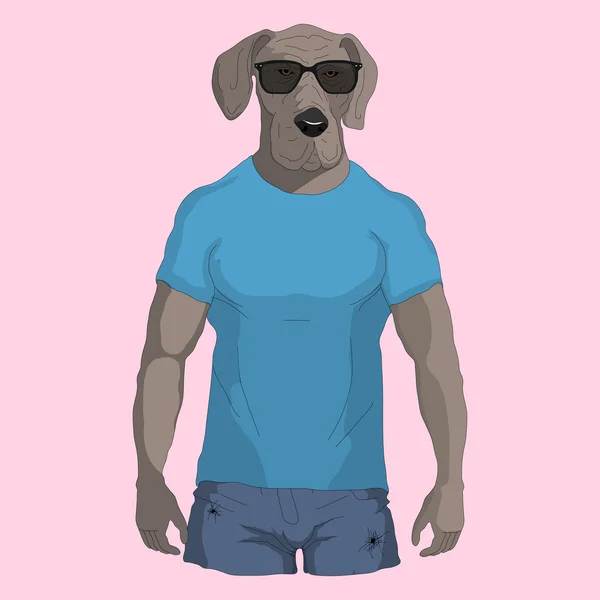 Anjing hipster dalam t shirt dan kacamata - Stok Vektor