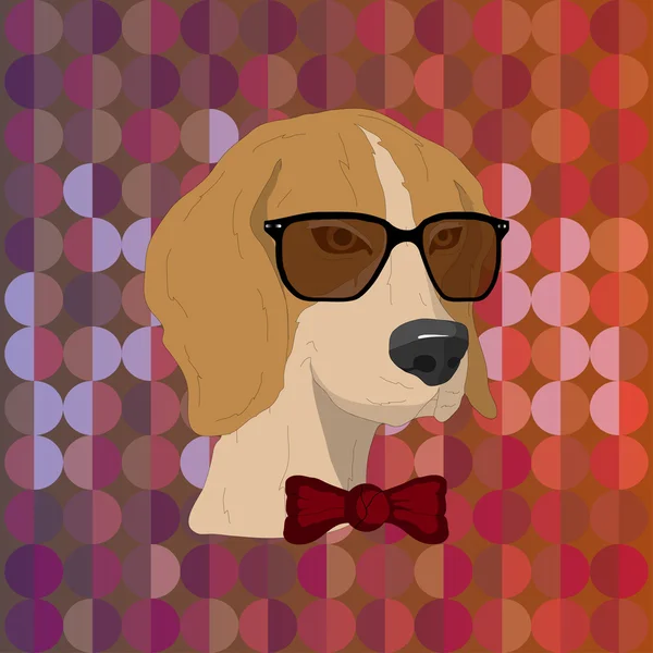 Hipster-Hund mit Brille — Stockvektor