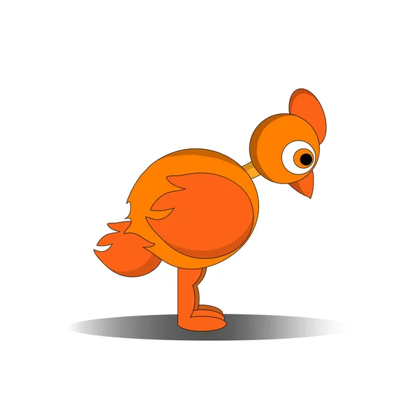 Little orange chicken — Stock Vector