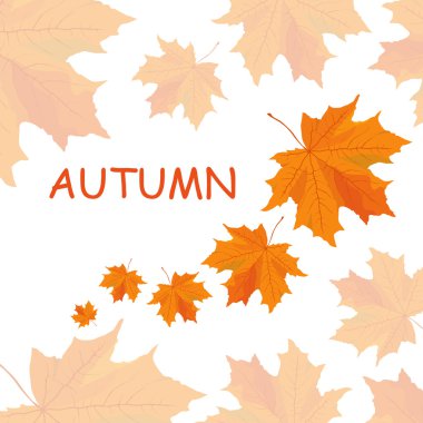 arka plan ile portakal yaprağı