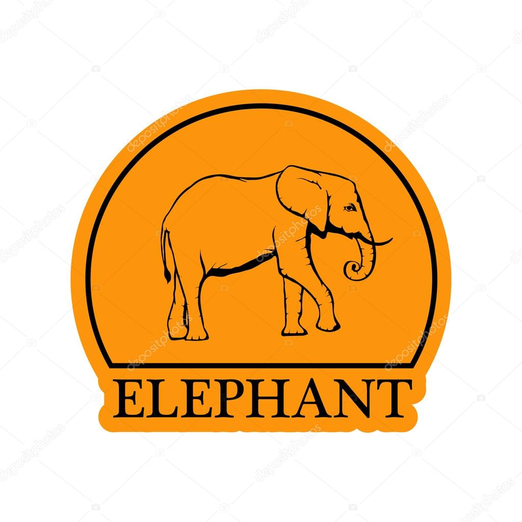 Orange elephant logo