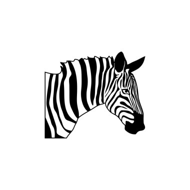 Zebra logo illüstrasyon