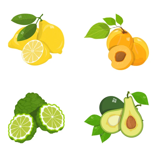 Ilustração do conjunto de frutos —  Vetores de Stock