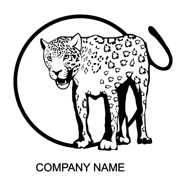 Lampart logo z miejscem nazwa firmy — Wektor stockowy