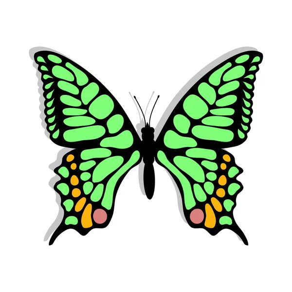 Mariposa verde ilustración — Archivo Imágenes Vectoriales