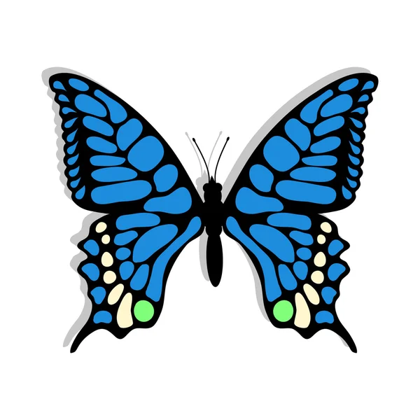 Blå fjäril illustration — Stock vektor