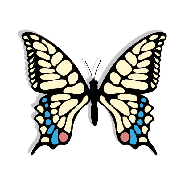 Hermosa ilustración mariposa — Archivo Imágenes Vectoriales