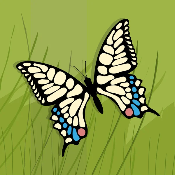 Hermosa mariposa colorida — Vector de stock