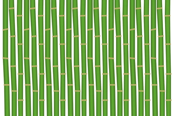 Grøn bambus baggrund – Stock-vektor