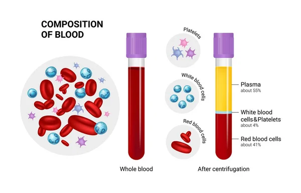 Vektordiagramm Der Blutzusammensetzung Rote Weiße Blutkörperchen Und Blutplättchen — Stockvektor