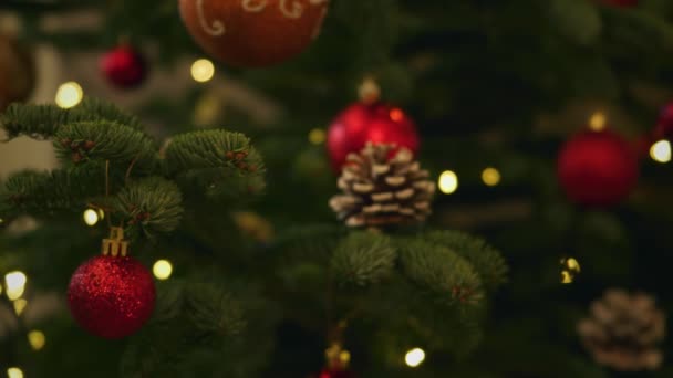 具有齿状焦点的圣诞树上的松果 — 图库视频影像
