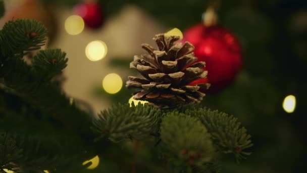 Λαμπερό παιχνίδι μπάλα σε ένα χριστουγεννιάτικο δέντρο — Αρχείο Βίντεο