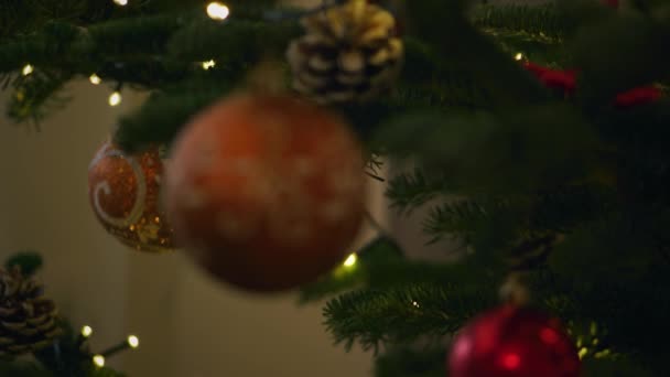 Bola de brinquedo brilhante em um foco de cremalheira de árvore de Natal — Vídeo de Stock