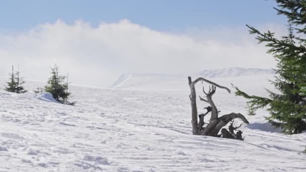 Sníh částice zvedl silný vítr za slunečného dne v horách — Stock video