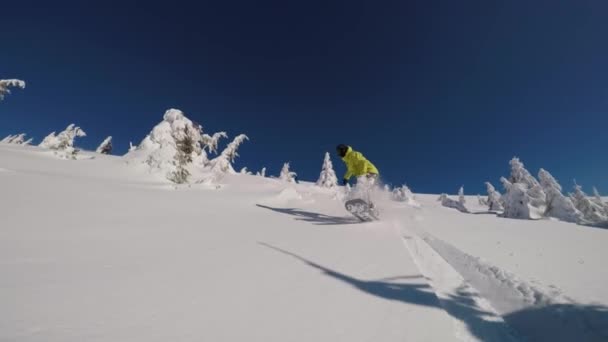 Snowboarder i en ljus lime dressing ridning backcountry i en framåtvänd spårning skott på en solig vinterdag i bergen — Stockvideo