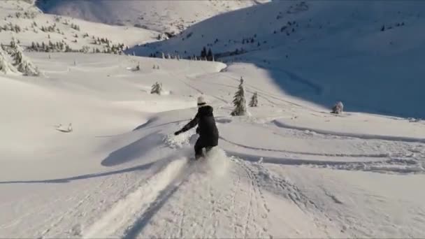 Lovaglás backcountry snowboard por hó egy napsütéses napon — Stock videók