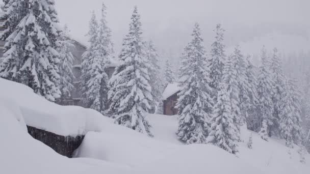 Κάμερα πάνω από ένα ξύλινο σπίτι σε ένα πευκοδάσος στα βουνά κατά τη διάρκεια μιας βαριάς χιονοπτώσεις — Αρχείο Βίντεο