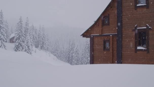 Maisons en bois parmi les pins recouverts de neige profonde dans les montagnes lors d'une chute de neige — Video