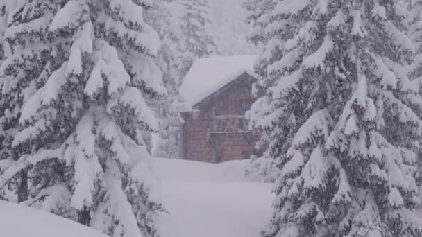 Langzame optische uitzoomen met een houten huis tussen pijnbomen bedekt met sneeuw tijdens een sneeuwstorm — Stockvideo