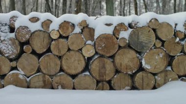 Karlı bir ormanda düzgünce istiflenmiş odun kütükleri kısmen taze karla kaplanmış, kırsal bir kış manzarası yaratıyor..