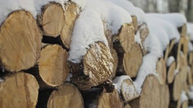 Taze karla kaplı temiz bir odun yığını, odunların dokusunu ve kışın sessizliğini gözler önüne seriyor..
