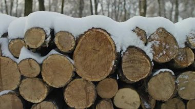 Yukarısında kalın bir kar tabakası olan düzgün istiflenmiş ağaç kütüklerinin yakın çekimi, sessiz bir kış ormanı ortamında çekildi..