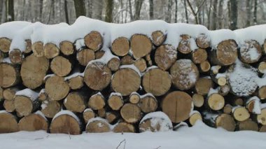 Düzgünce istiflenmiş odun kütükleri. Orman ortamında taze karla kaplanmış. Soğuk havayı ve yakacak odunlarını simgeliyor..