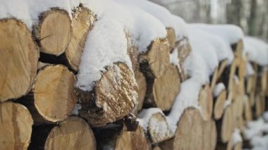 Açık havada düzgünce istiflenmiş odun kütüklerinin yakın çekimi. Ormanda soğuk bir kış günü, kısmen yumuşak beyaz karla kaplı..