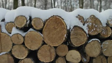 Düzgünce istiflenmiş ağaç kütükleri taze karla kaplı, kış mevsimini, yakacak odunlarını ve doğal orman dokularını temsil ediyor..