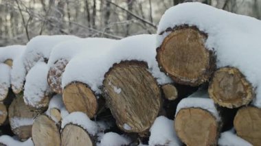 Taze karla kaplı istiflenmiş kütüklerin detaylı görüntüsü, ahşap dokuları vurguluyor ve soğuk, sessiz bir kış ormanı..