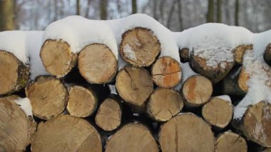 Doğranmış odun odunlarını kapatın ve taze karla kaplayın. Kış mevsimini, ısınmayı ve kırsal yaşamı sembolize ediyor..