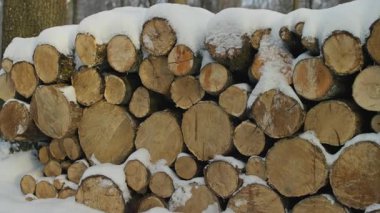 Açık havada istiflenmiş ve kışın karla kaplanmış taze kesilmiş kereste yığınları..