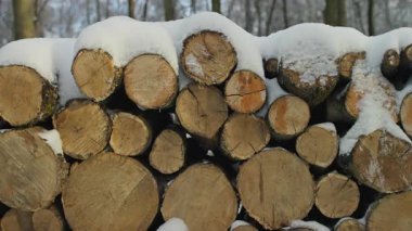 Kesilmiş odun yığınları açık havada istiflenmiş ve taze karla kaplı, kış ormanı arka planı ve kırsal yakacak odun dokusu.