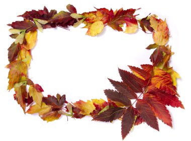 Sonbahar yapraklarının sınırı