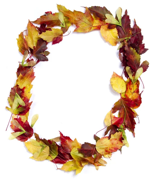 Sonbahar yapraklarının sınırı