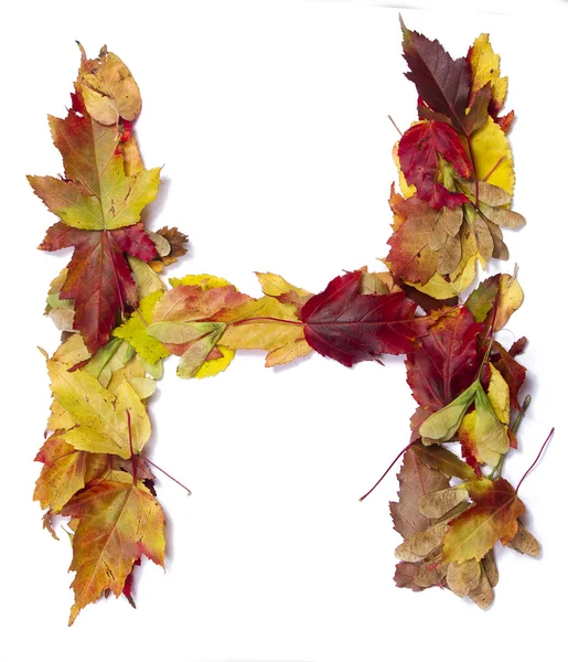 Осенний алфавит — стоковое фото