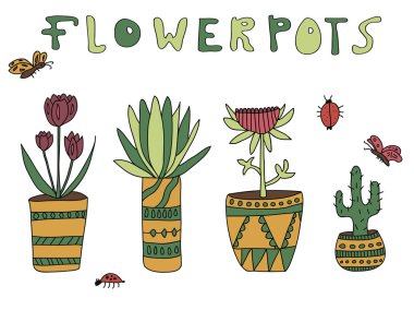 Çiçek saksıları içinde dizi