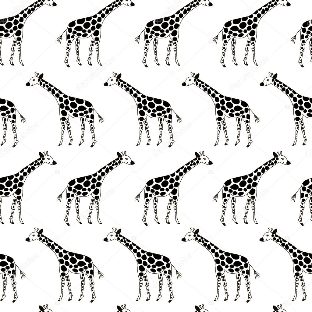 Web žirafy