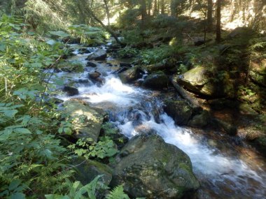 Şelale - Jeseniky 'de Bila Opava